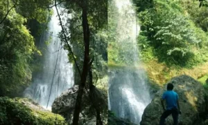 IMG_20250829_152747-jpg