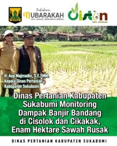 30951513-7e9e-414d-8602-7aeede672c44