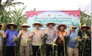 WhatsApp Image 2026-01-19 at 20.27.06