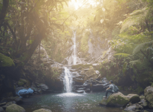 PixelBin-AI-Editor-1771686763826