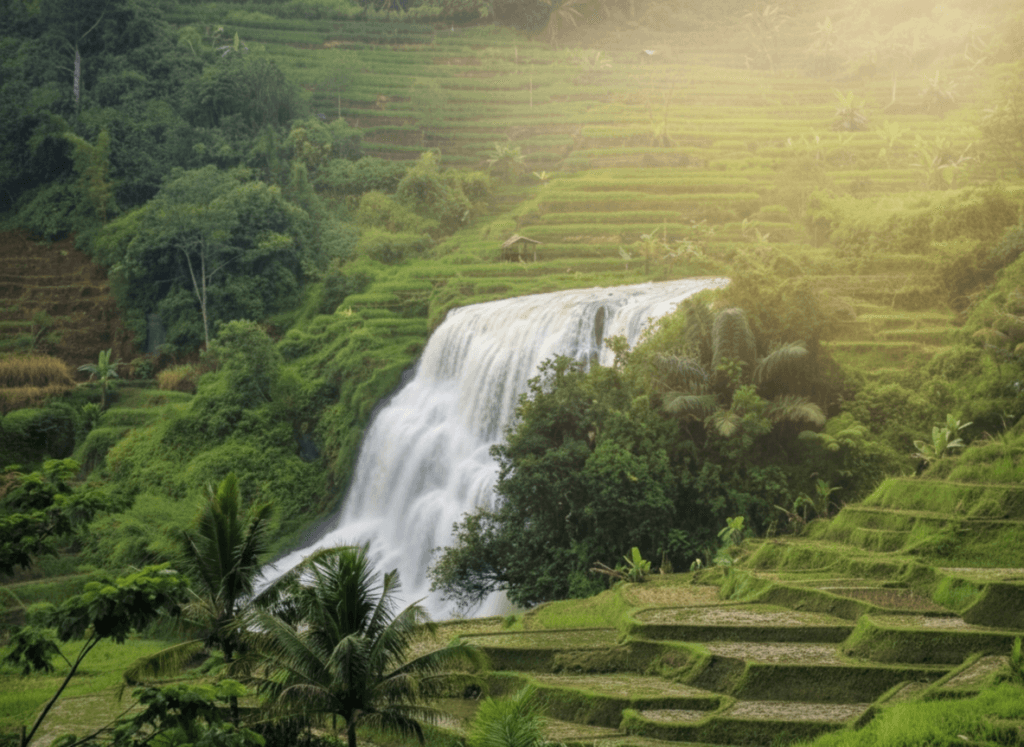 PixelBin-AI-Editor-1771687244916