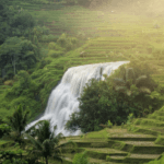 PixelBin-AI-Editor-1771687244916