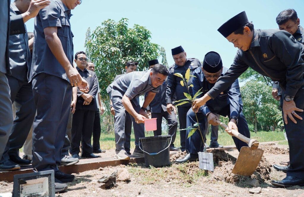 WhatsApp Image 2026-03-12 at 11.52.28