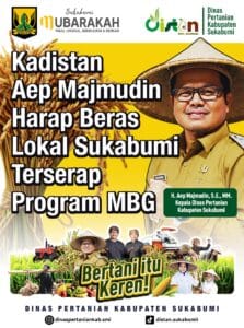 666915797_904583119215229_9127205585883691509_n