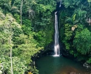 WhatsApp Image 2026-04-02 at 18.17.35