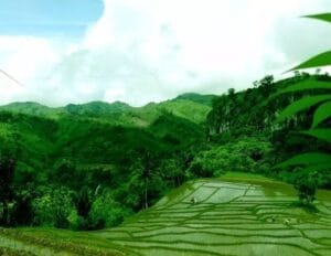 WhatsApp Image 2026-04-03 at 08.38.55